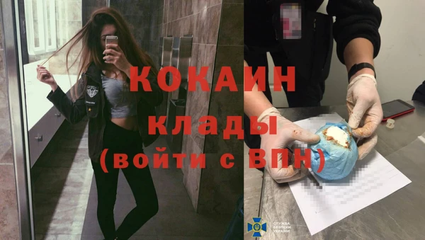 соль ск Алексин