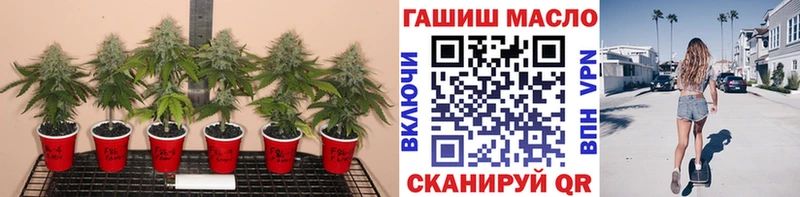 Дистиллят ТГК вейп с тгк  это наркотические препараты  Неман  где купить наркоту 