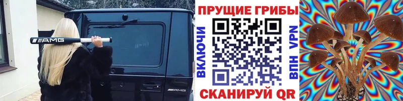 MEGA tor  даркнет сайт  Неман  Псилоцибиновые грибы Psilocybe 